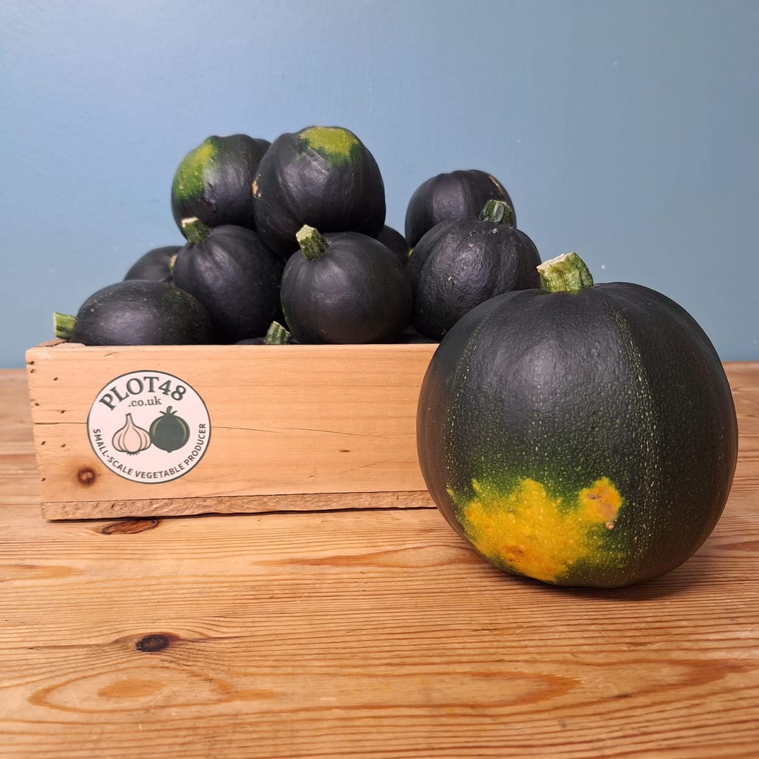 Gem squash in a Plot 48 crate