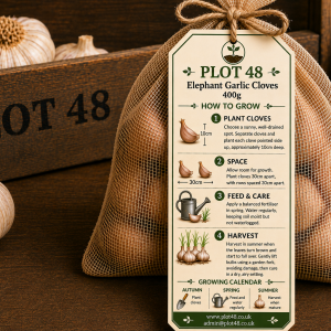 Elephant Garlic Cloves - 400g
