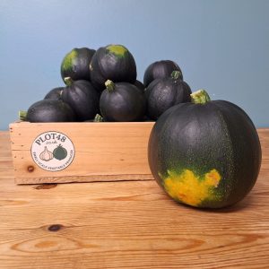 Gem Squash 1kg